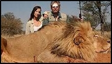 Two Idiot Hunters standing over a dead endangered Lion 