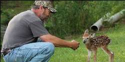 Pictures: Man Saves Fawn and Gets the Most Adorable Reward