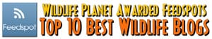 Feedspot Wildlife Planet top 10 Best Wildlife Blogs Picture