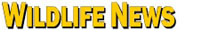 Wildlife Planet News and Information Logo - http://www.wildlifeplanet.net/